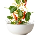 Picture of Vegetarian Salad